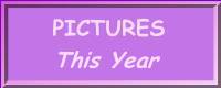 This Years Pics